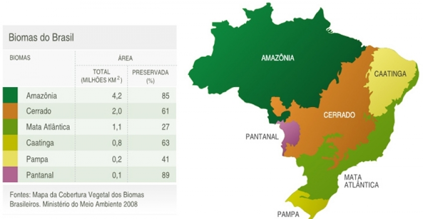 RBCIAMB abre chamada de trabalhos para edição temática Biomas brasileiros  e suas territorialidades - ABES