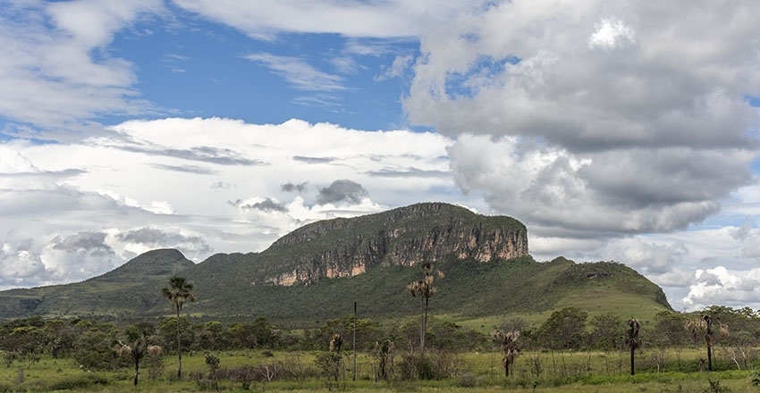 Cerrado