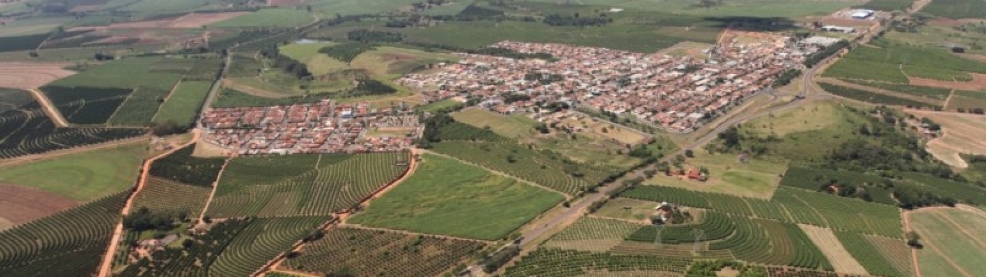 Vista Alegre do Alto: de vento em “polpa”