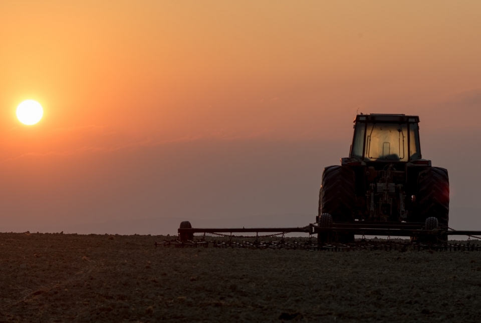 A agricultura que desponta o Brasil no cenário mundial