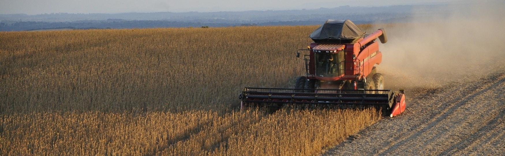 Em terras nacionais, a agricultura é potência