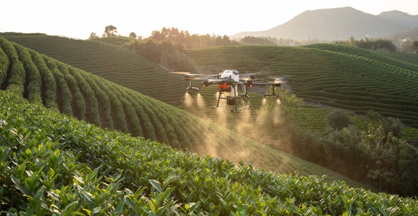 A agricultura moderna traz sustentabilidade ao campo