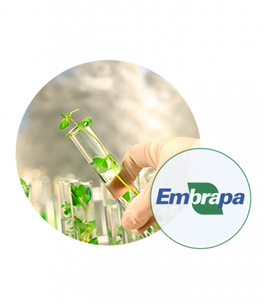 Empresa Brasileira de Pesquisa Agropecuária - EMBRAPA