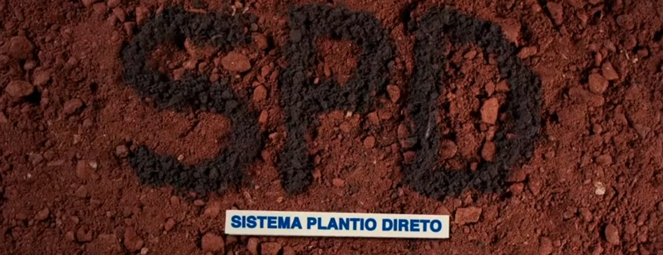 Saiba mais sobre Plantio Direto: