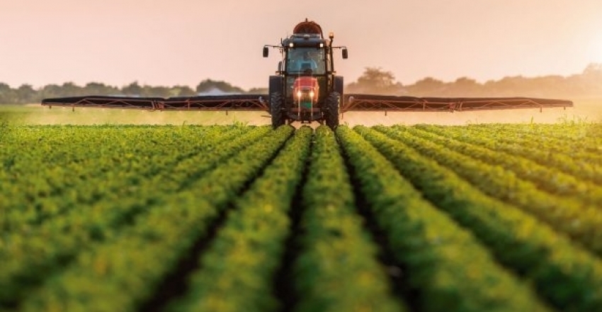 O Brasil e o uso dos agroquímicos