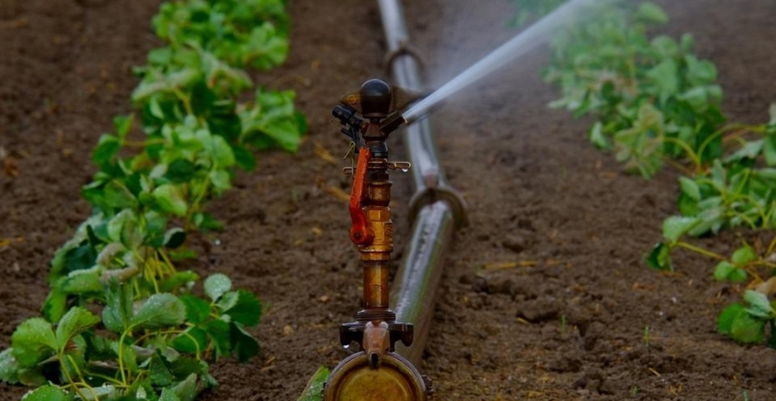 Água e agricultura