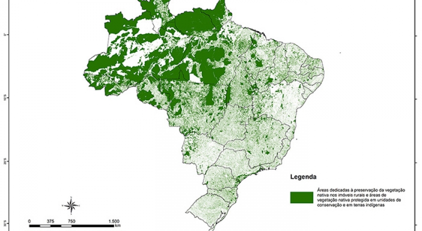 Embrapa Territorial (SP): Área rural dedicada à vegetação nativa atinge 218 milhões de hectares