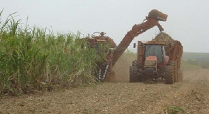 Agronegócio segura queda mais acentuada do PIB brasileiro