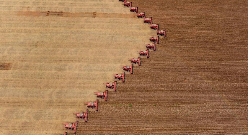 Em defesa da agricultura: vamos comer o quê?