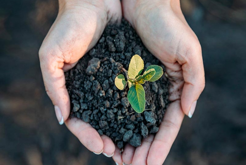 Fatos e mitos sobre agricultura e meio ambiente