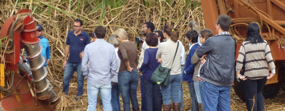 2012: Agronegócio em Múltiplas Disciplinas