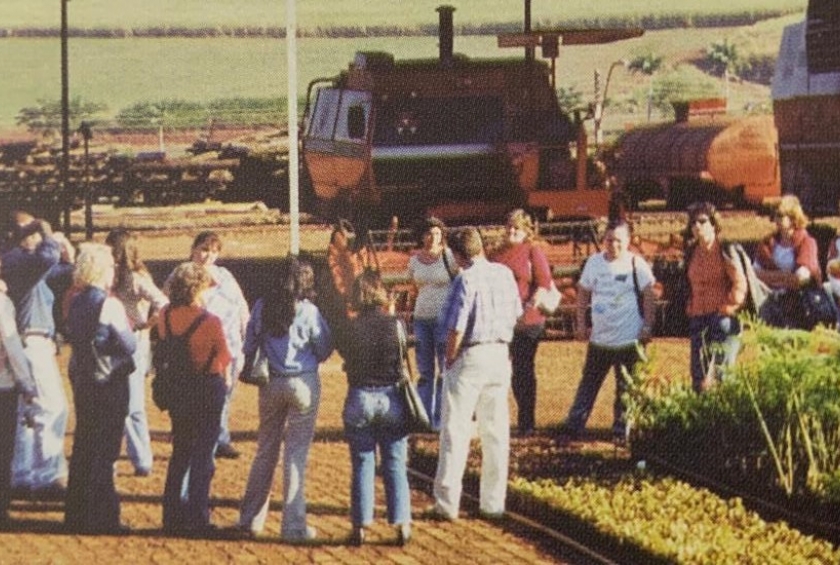 2002: De Projeto Piloto a Programa