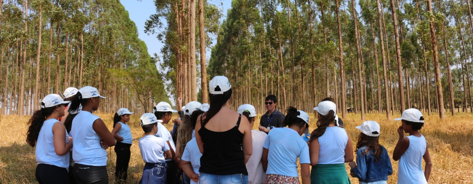 2017: Mais cidades, mais escolas, mais visitas