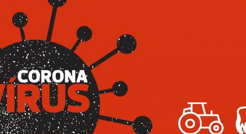 Coronavírus: Embrapa, Ceplac e Defesa Agropecuária poderão realizar mais de 70 mil testes por dia