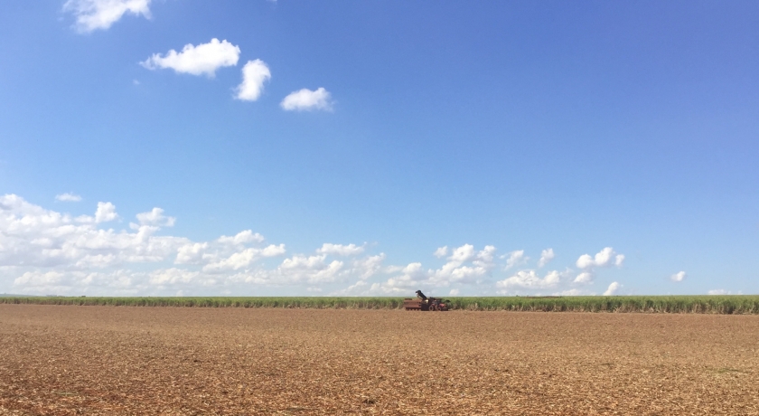 Garantido o pleno funcionamento das cadeias produtivas de alimentos e bebidas