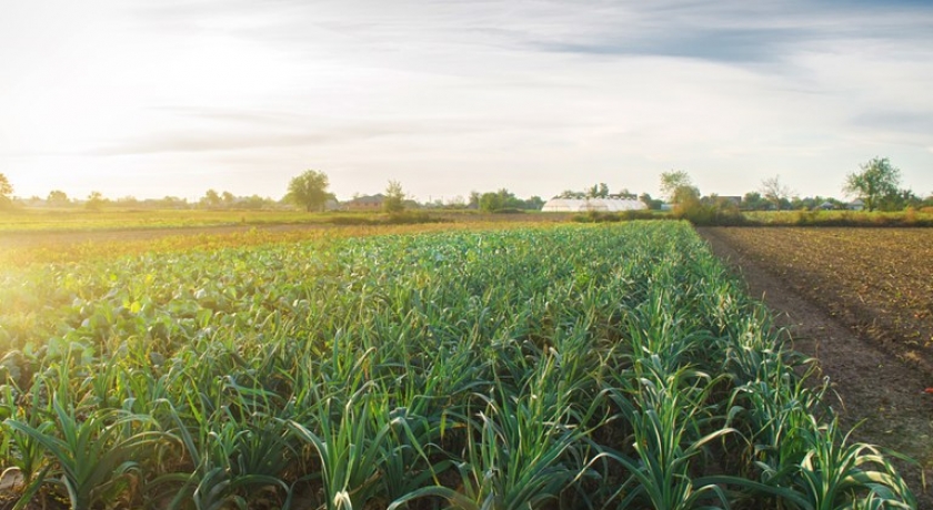 Plataforma ajudará na análise dos dados do Cadastro Ambiental Rural