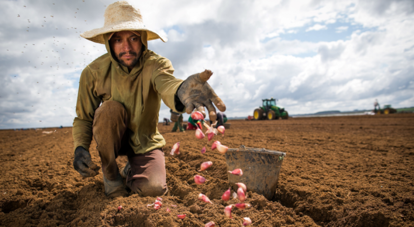 Com ci&ecirc;ncia e tecnologia, agro brasileiro avan&ccedil;a na redu&ccedil;&atilde;o dos impactos ambientais