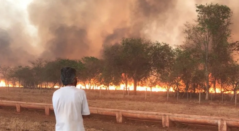 Setor produtivo lança campanha de prevenção a incêndios