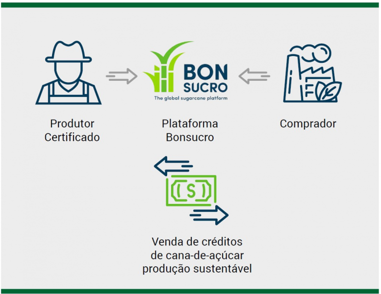 A primeira venda destes créditos pela plataforma da Bonsucro pode abrir um novo caminho para a valorização dos produtores.